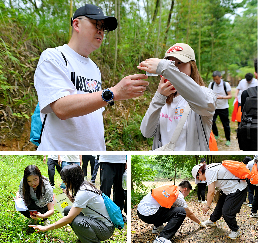 【生態(tài)共赴，服務(wù)精神重塑】慧澤集團(tuán)2025文化守護(hù)日?qǐng)A滿舉行
